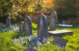 cemetery