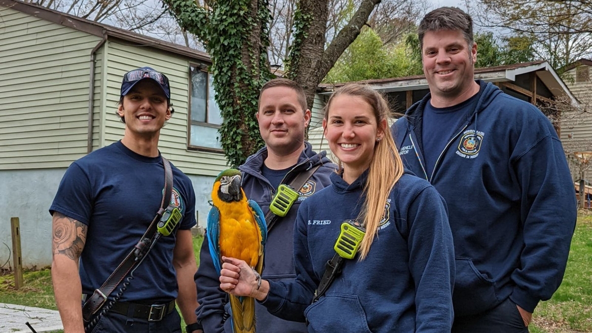 Macaw Rescue