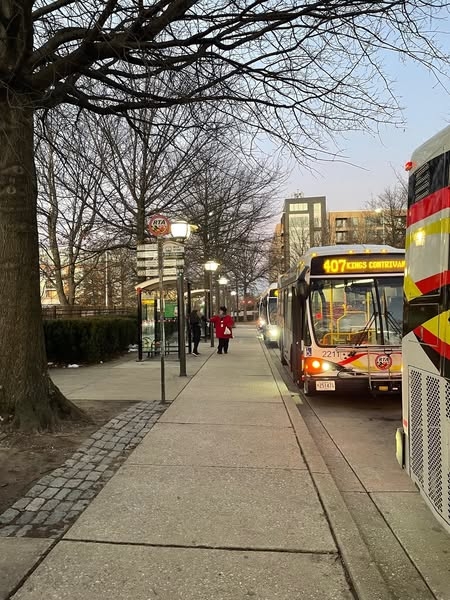 Buses at Valentine's Day pop up