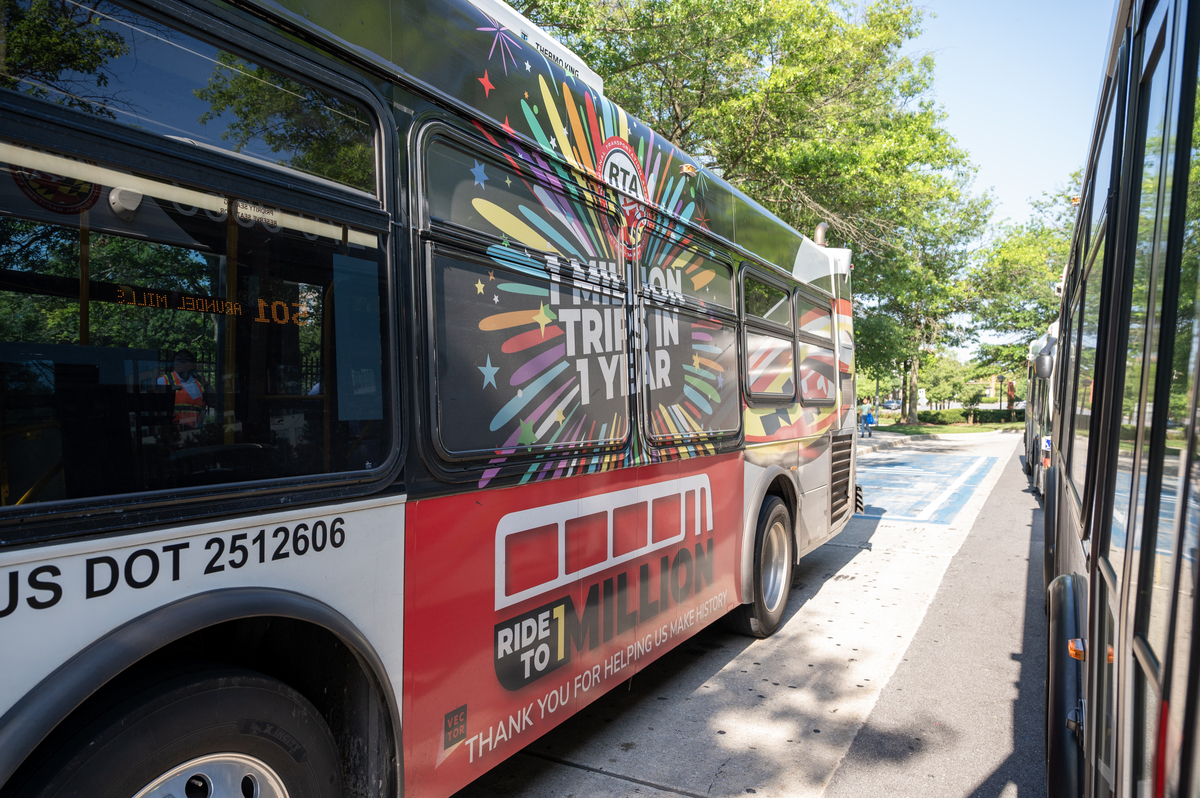Decorated Bus