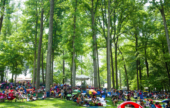 wine in the woods
