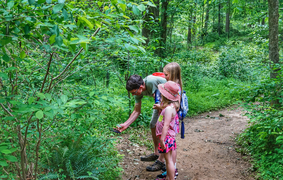 Robinson Tech Trail