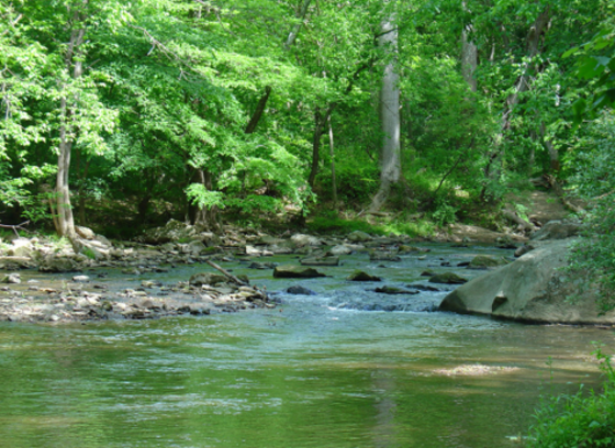 Stream