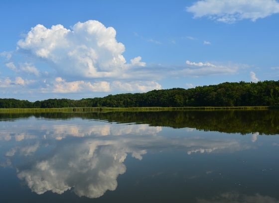chesapeake bay