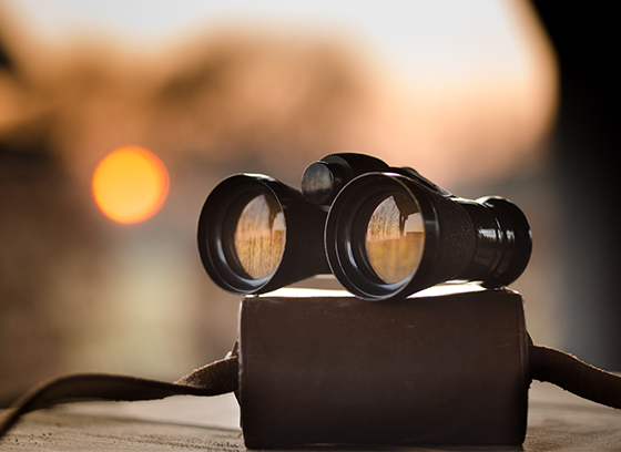 Picture of binoculars. Page not found.