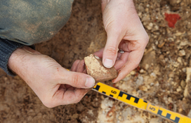 Archaeology