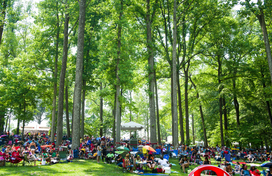 wine in the woods