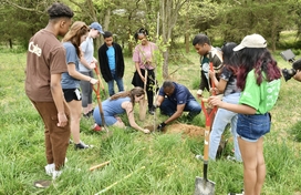 Youth Volunteering
