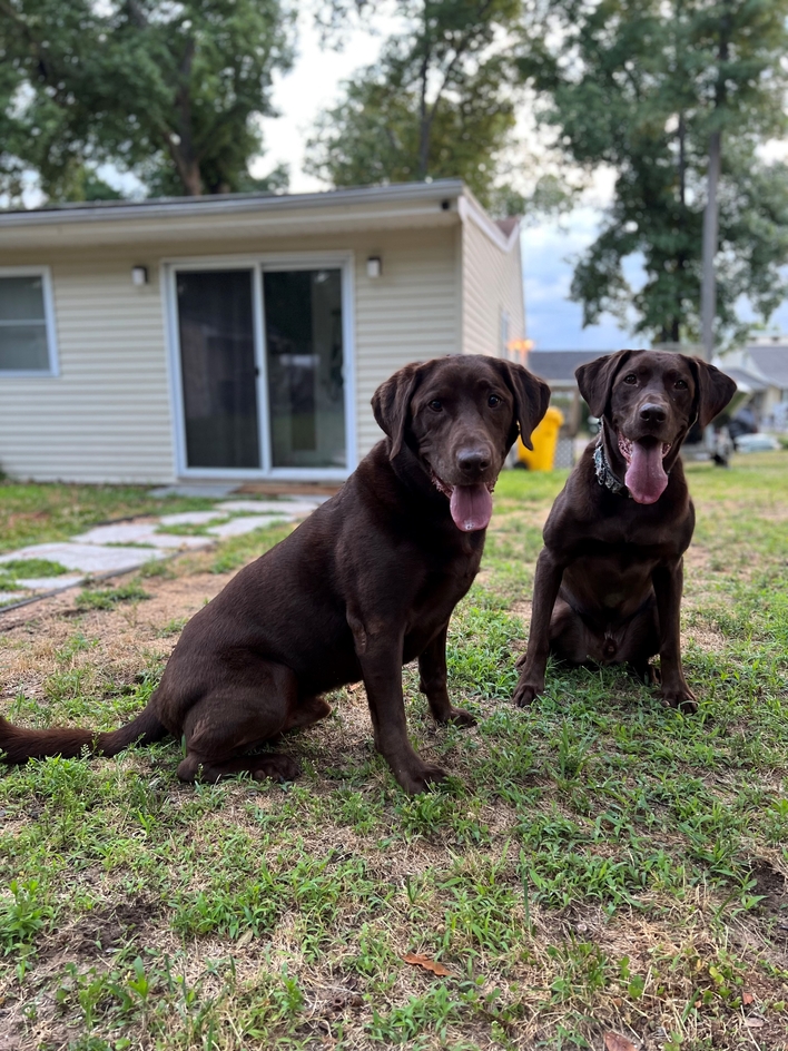 FInn and Echo
