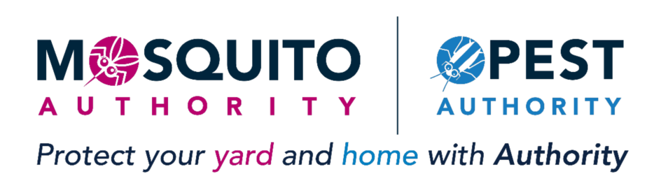 mosquito authority update