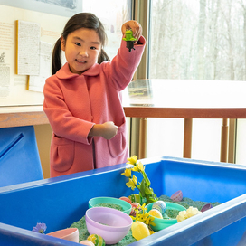 Sensory Friendly Sunday